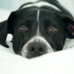 Meet your Posher, Elissa